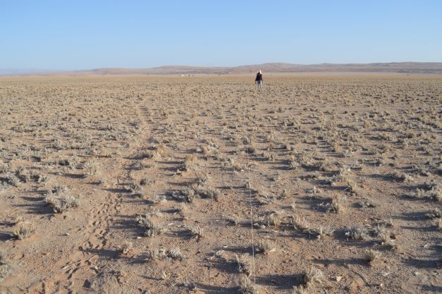 DESERTS AND DESERTIFICATION: CONCEPTS AND SOLUTIONS
