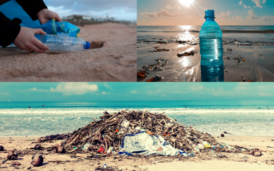 Keep plastic out of our sea: Discover the life cycle of a plastic bottle and how to not dump it in the sea thanks to Circular Economy