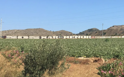 Colaboración y valores para salvar el Mar Menor