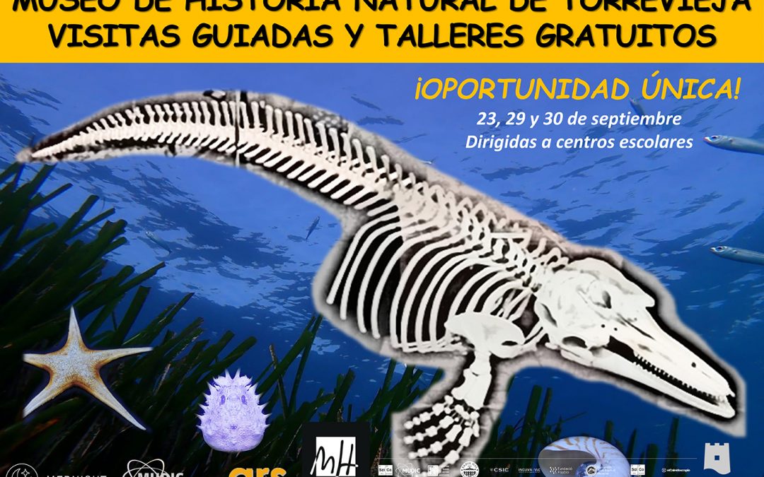GUIDED VISITS NATURAL HISTORY MUSEUM OF TORREVIEJA FOR ELEMENTARY AND MIDDLE SCHOOL STUDENTS