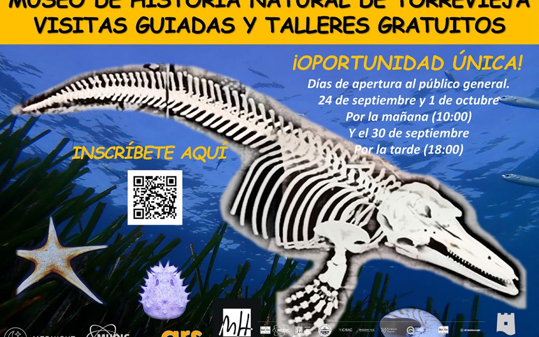 GUIDED VISITS NATURAL HISTORY MUSEUM OF TORREVIEJA AIMED AT THE GENERAL PUBLIC