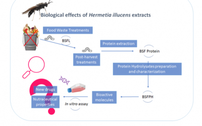 Una nuova biotecnologia a base di insetti per lo sviluppo di sostanze nutraceutiche