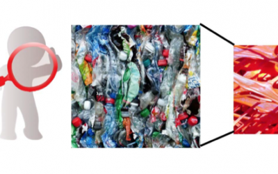 Un PlastiQuiz sull’impatto delle plastiche nell’ambiente marino