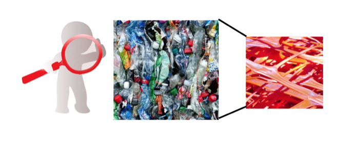 A PlastiQuiz on the impact of plastics in the marine environment