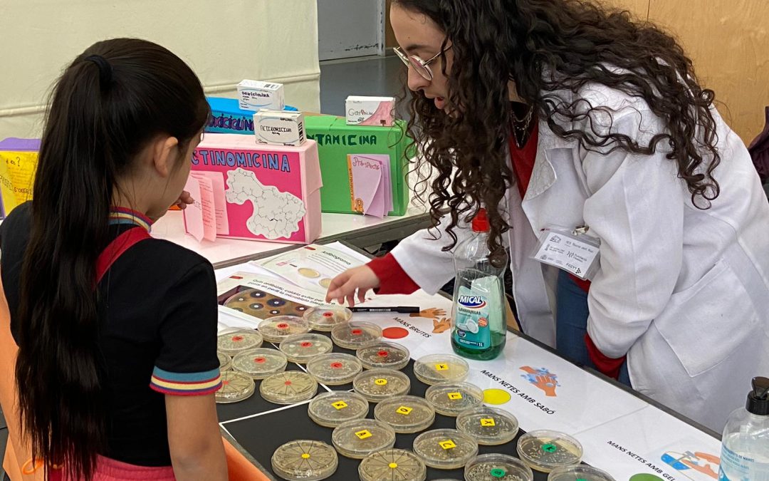 Seis centros educativos de la Comunitat Valenciana participan en el proyecto de divulgación científica ‘El Reto Fisabio’