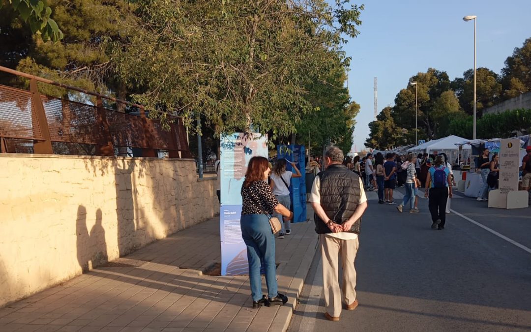 Miles de personas visitan las exposiciones de MEDNIGHT en Alicante