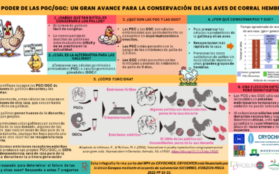Innovación en la conservación de las aves. ¡Las hembras también son importantes!