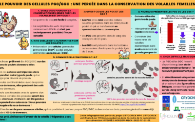 Innovation dans la conservation des oiseaux. Les femelles sont également importantes !