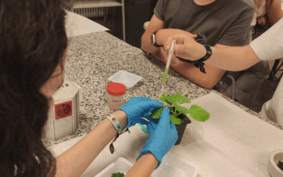 The researchers Inma Simón and Francisco Alfosea visit IES Paco Ruiz